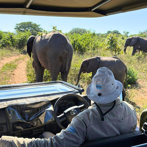 620 pixels placeholder image